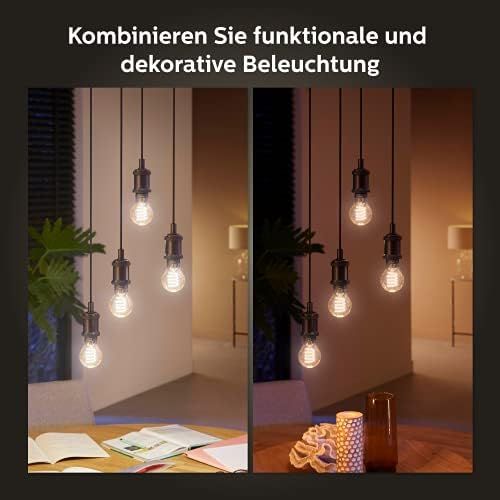 필립스 Philips Hue White Ambiance E27 Single Pack Globe G93 Filament 300 lm