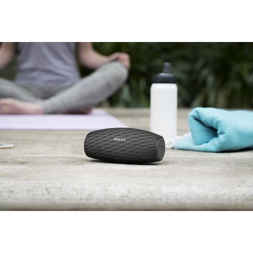 필립스 Philips BT6900B37 Wireless Speaker - Black