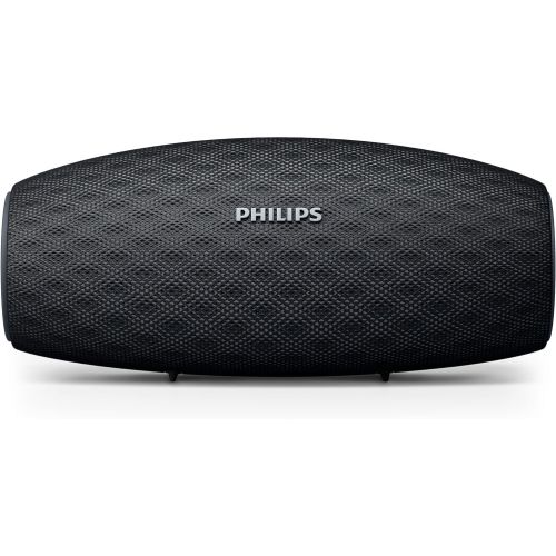 필립스 Philips BT6900B37 Wireless Speaker - Black