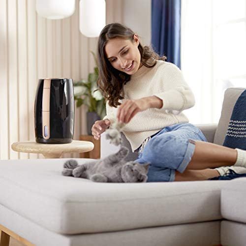 필립스 Philips Domestic Appliances Philips Humidifier 2000 Series HU2718/10 Natural and Hygienic Humidification thanks to Nano Large Water Molecules, Black/Copper