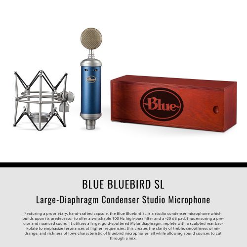  Photo Savings Blue Microphones Bluebird SL Large-Diaphragm Condenser Microphone with BlueIcicle USB Microphone Interface, PreSonus Eris E3.5 Studio Monitors, and Premium Studio Bundle