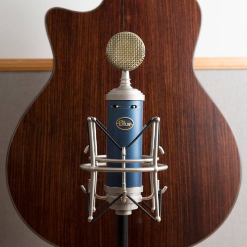  Photo Savings Blue Microphones Bluebird SL Large-Diaphragm Condenser Microphone with BlueIcicle USB Microphone Interface, PreSonus Eris E3.5 Studio Monitors, and Premium Studio Bundle