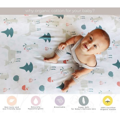  [아마존베스트]Pickle & Pumpkin Pack n Play Sheet | 2 Pack Mini Crib Sheet in 100% Organic Jersey Cotton | Ideal as Pack n Play Mattress, Playpen, Portable Crib or Playard Sheets | Chevron & Fox