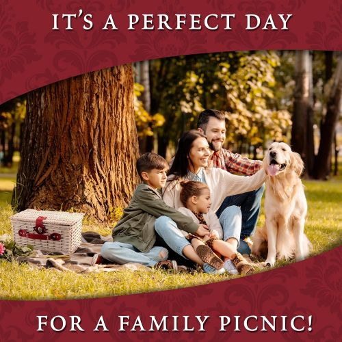  Picnic Traditions Wicker Picnic Basket Set | 2 Person Deluxe Vintage Style Woven Willow Picnic Hamper | Ceramic Plates, Stainless Steel Silverware, Wine Glasses, S/P Shakers, Bottle Opener, Summer P