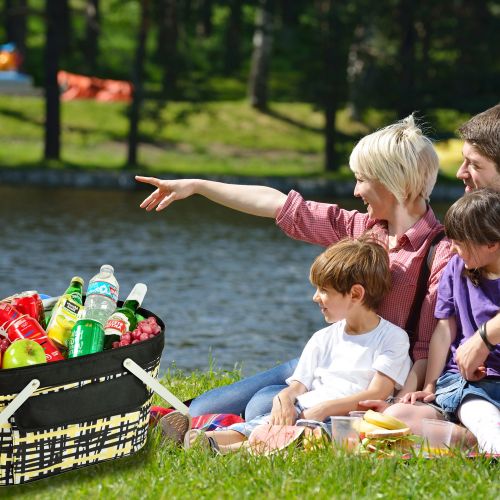  Picnic at Ascot Patented Insulated Folding Picnic Basket Cooler- Designed & Quality Approved in the USA