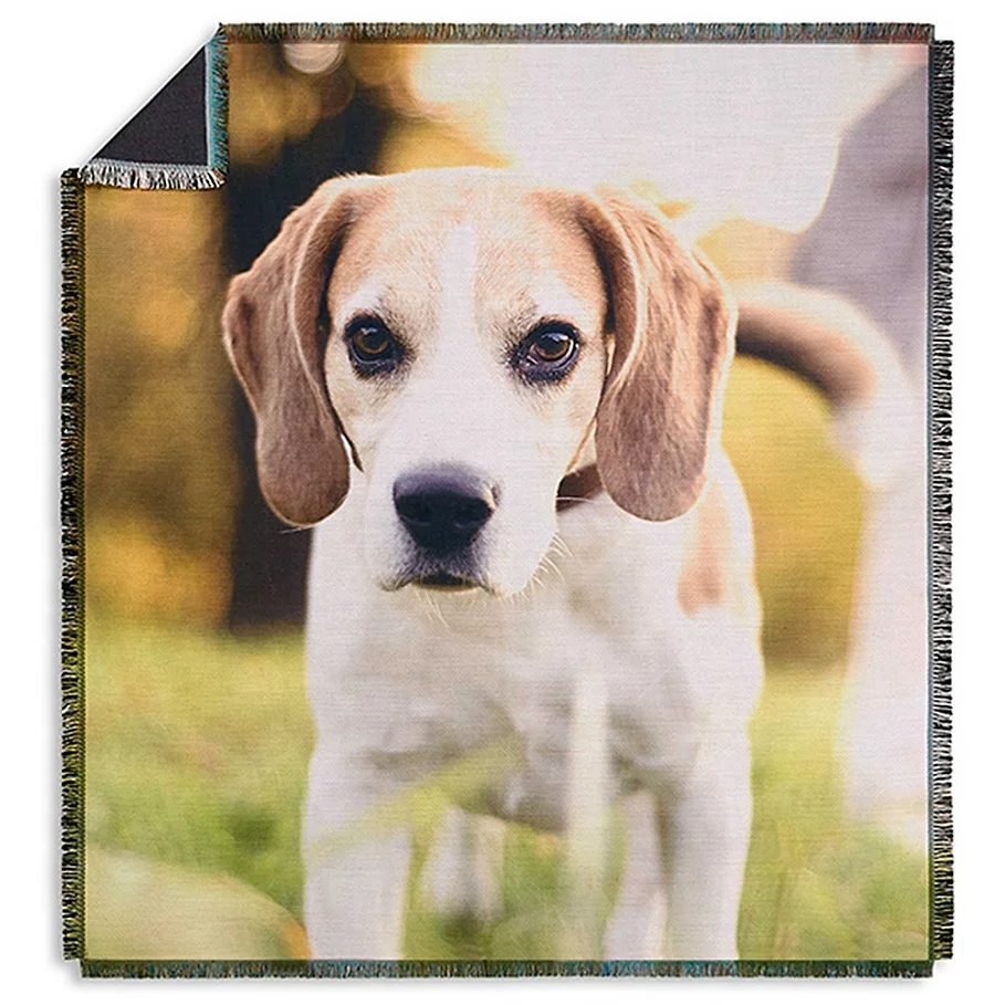  Picture It! Pet Woven Throw Blanket
