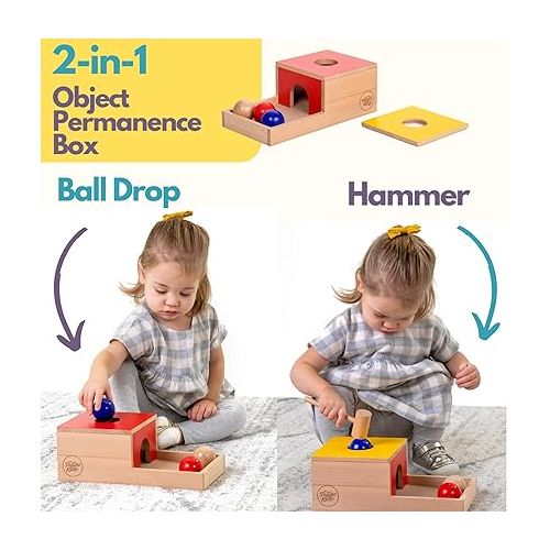  Pidoko Kids Montessori Toys for 1 Year Old - Wooden Object Permanence Box, Coin Drop, Color and Shape Sorter Top | Baby Toys 12-18 Months - 1st Birthday Gifts Boy Girl - Learning Toys for 1+ Year Old