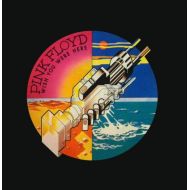 [아마존베스트]Pink Floyd - Wish You Were Here (Vinyl)