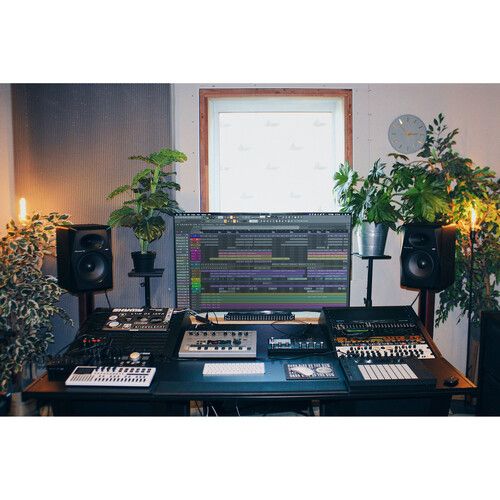 파이오니아 Pioneer DJ VM-70 2-Way Active Studio Monitor (Single, Black)