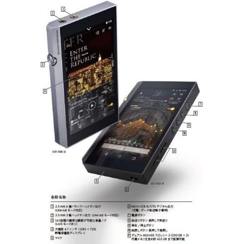 파이오니아 Pioneer hi-res digital audio player XDP-300R (S) (Silver)