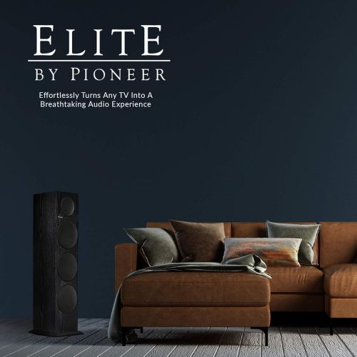 파이오니아 Pioneer Elite SP-EC73 Andrew Jones Center Channel Speaker