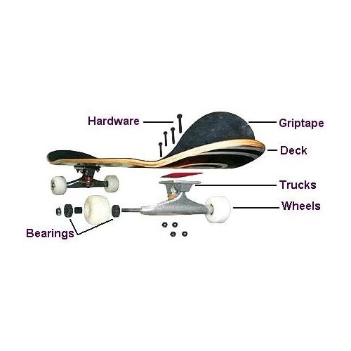  Pizza Decks - Assembled AS Complete Skateboard - Ready to Ride Skateboard - Custom Built for You - or Choose just The Parts and DIY - Skateboarding Complete