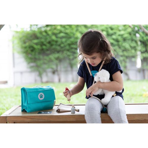  PlanToys Dr. Veterinarian (Vet) Role Play Set (3490) | Sustainably Made from Rubberwood and Non-Toxic Paints and Dyes: Toys & Games