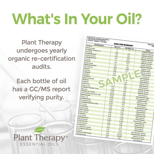  Plant Therapy Top 6 Organic Essential Oil Set, 10 mL (13 oz) each, 100% Pure, Undiluted, Therapeutic Grade