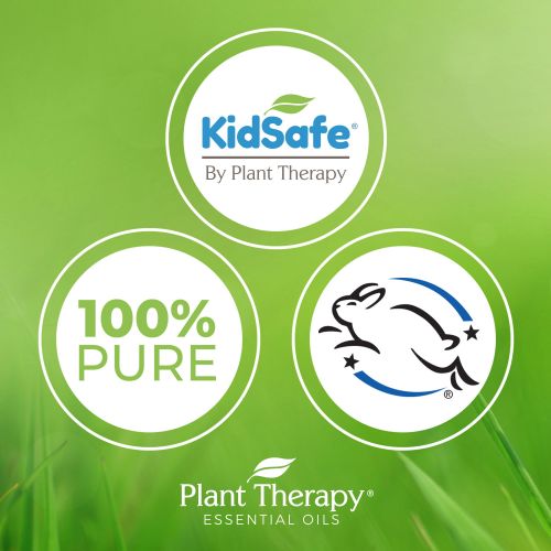  Plant Therapy KidSafe Starter Set of 6 Synergies Essential Oil Set, 10 mL (13 fl. oz.) each, 100% Pure, Undiluted, Therapeutic Grade