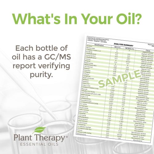  [아마존 핫딜]  [아마존핫딜]Plant Therapy Top 6 Organic Essential Oil Set - Lavender, Peppermint, Eucalyptus, Lemon, Tea Tree,...