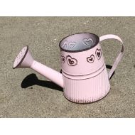 PlantSucculents Pink Watering Can - Great for indoor/outdoor decor