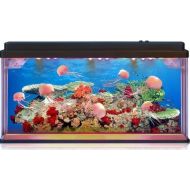 Playlearn USA Jelly Fish/Sea Turtle Aquarium Mood Lamp with LED Lights 3D Backing - Stunning! Fantastic Gift (Jellyfish)