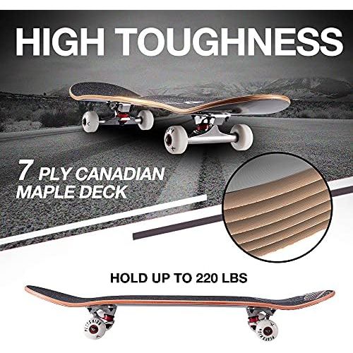  Playshion 31x8 Complete Skateboard for Kids and Beginners