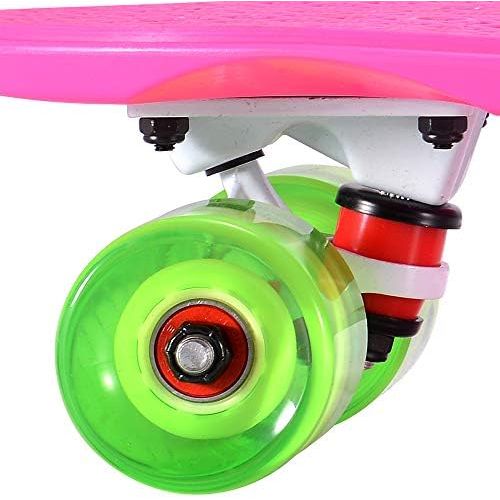  Playshion Complete 22 Inch Mini Cruiser Skateboard for Beginner with Sturdy Deck