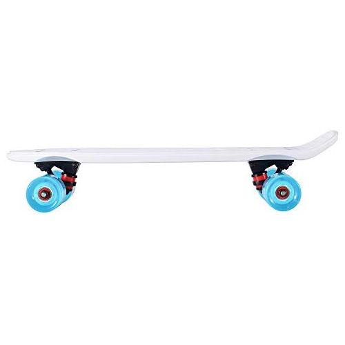  Playshion Complete 22 Inch Mini Cruiser Skateboard for Beginner with Sturdy Deck