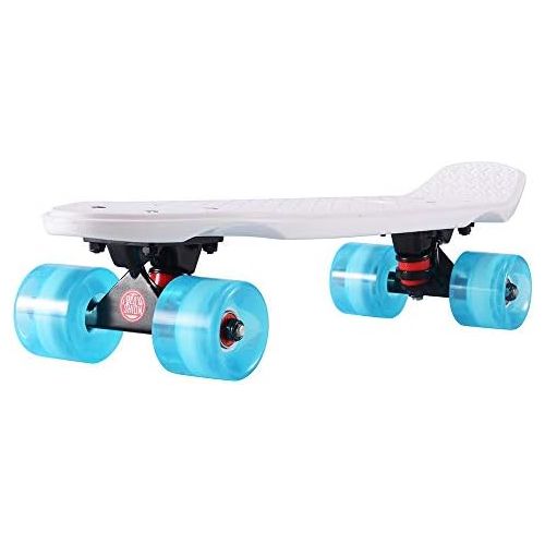  Playshion Complete 22 Inch Mini Cruiser Skateboard for Beginner with Sturdy Deck