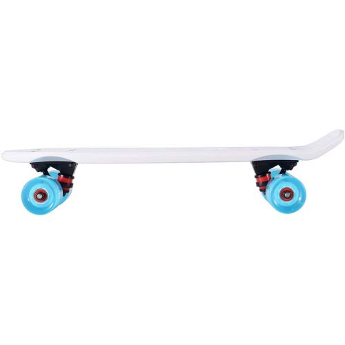  Playshion Complete 22 Inch Mini Cruiser Skateboard for Beginner with Sturdy Deck