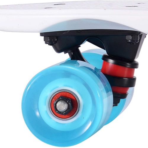  Playshion Complete 22 Inch Mini Cruiser Skateboard for Beginner with Sturdy Deck