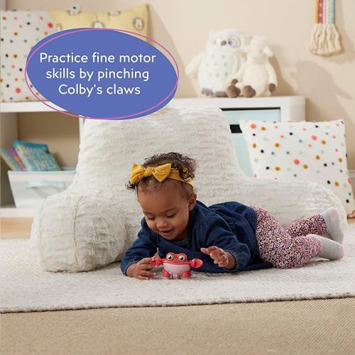  Playskool Little Wonders - Colby Crab - Tactile Sensory Play Infant Toy - Help Develop Fine Motor Skills - Ages 6 Months and Up