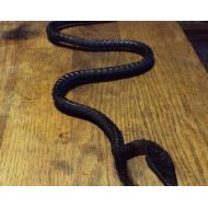 Pleasantvalleyfarmpa Sneaky Snake Hand Forged Garden Ornament-great for scaring birds away from your garden!