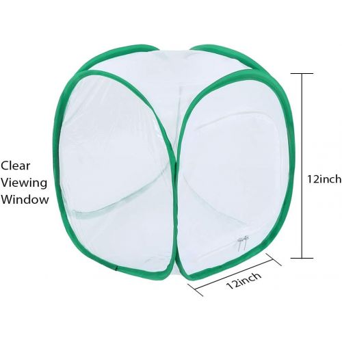  [아마존베스트]Pllieay 2 Pieces 2 Sizes Butterfly Habitat Cage with an Instructions and Clear PVC Film, Collapsible Light-transmitting Terrarium White Insect and Butterfly Net for Kids Raising In