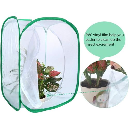  [아마존베스트]Pllieay 2 Pieces 2 Sizes Butterfly Habitat Cage with an Instructions and Clear PVC Film, Collapsible Light-transmitting Terrarium White Insect and Butterfly Net for Kids Raising In