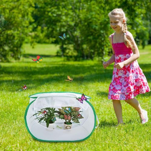  [아마존베스트]Pllieay 2 Pieces 2 Sizes Butterfly Habitat Cage with an Instructions and Clear PVC Film, Collapsible Light-transmitting Terrarium White Insect and Butterfly Net for Kids Raising In