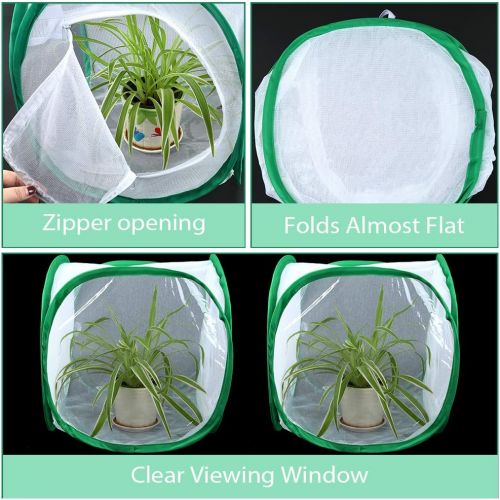  [아마존베스트]Pllieay 2 Pieces 2 Sizes Butterfly Habitat Cage with an Instructions and Clear PVC Film, Collapsible Light-transmitting Terrarium White Insect and Butterfly Net for Kids Raising In