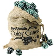 Plow & Hearth Flame Color Changing Pine Cones Fireplace Accessory