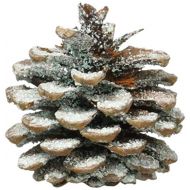 Plow & Hearth Fireplace Color Changing Pine Cones Wood Burning Accessories