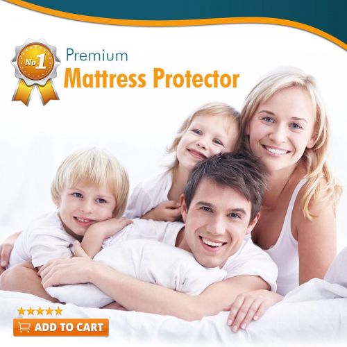  PlushDeluxe Mini Crib Mattress Protector 100% Waterproof, Without Noiseless ? Bamboo Quilted Ultra Soft White Terry Fitted Sheet Style (Mini Crib)