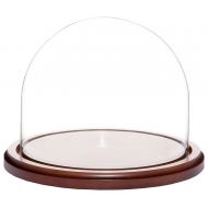 Plymor Brand 8 x 6.5 Glass Display Dome Cloche (Walnut MDF Base)