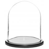 Plymor Brand 8 x 10.25 Glass Display Dome Cloche (Black Wood Base)