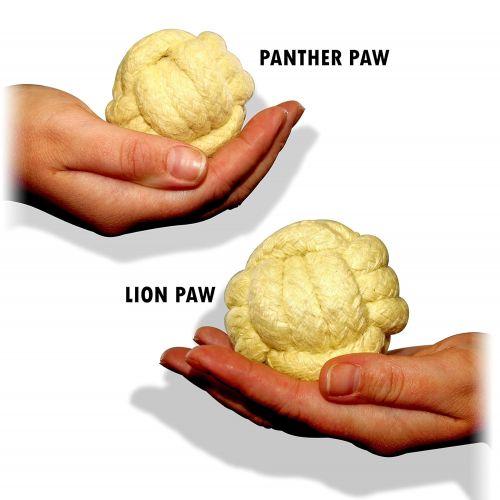  Pro Fire Poi Fist set Lion Paw + Travel Bag by Flames N Games (Lion Paw)
