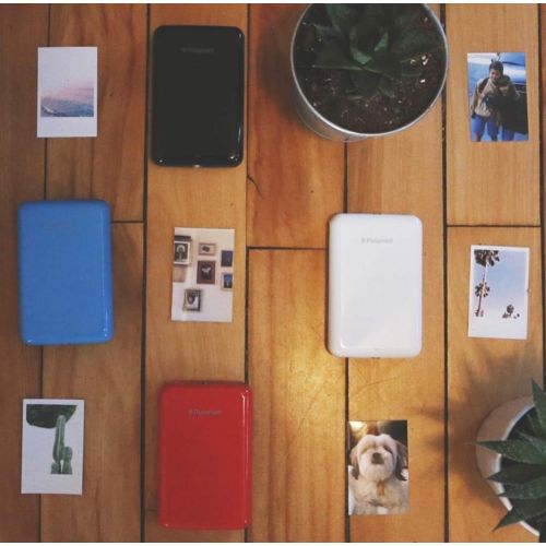 폴라로이드 Polaroid ZIP Wireless Mobile Photo Mini Printer (Blue) Compatible w/ iOS & Android, NFC & Bluetooth Devices