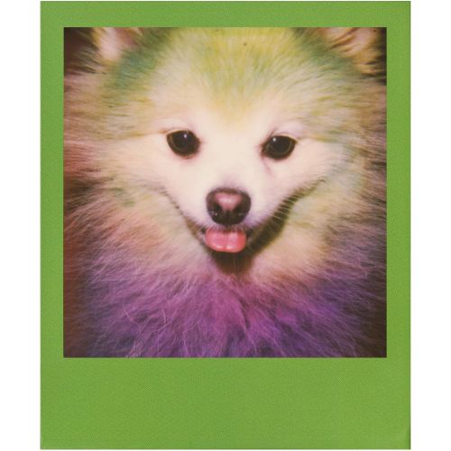 폴라로이드 Polaroid Originals Color Frames Edition Instant Film for 600 Cameras Bundle (80 Exposures)