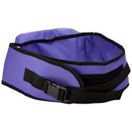 Pomfitis Side Ride Baby Toddler Hip Seat Carrier, Purple