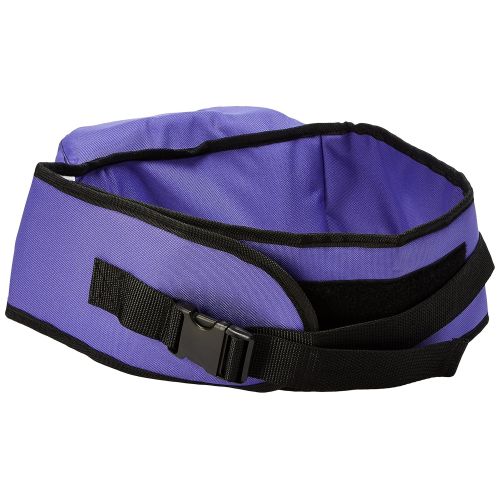  Pomfitis Side Ride Baby Toddler Hip Seat Carrier, Purple