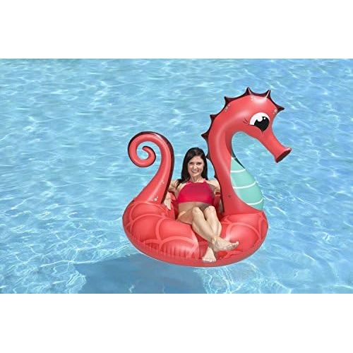  Poolmaster 48 Seahorse Tube