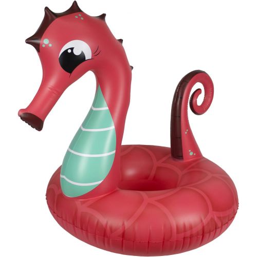  Poolmaster 48 Seahorse Tube