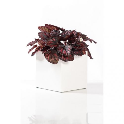 Elegant White Square Indoor Outdoor Planter Pot  Elegant Cube Shaped Flower Pot - 10”H x 10”W x 10”L - by Pottery Pots