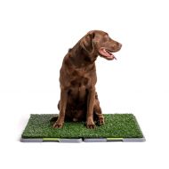 Silver Paw Potty Patch Dog Potty  Replaces Wee Wee Pads  The Best Pet Turf Potty Training Tool  Works for Puppies & Adult Dogs  For Big Dogs