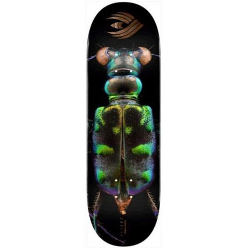  Powell Peralta Tiger Beetle Skate Deck Black 8.25