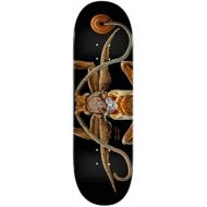 Powell-Peralta Skateboard Deck Biss Marion Moth 8.25 x 31.95